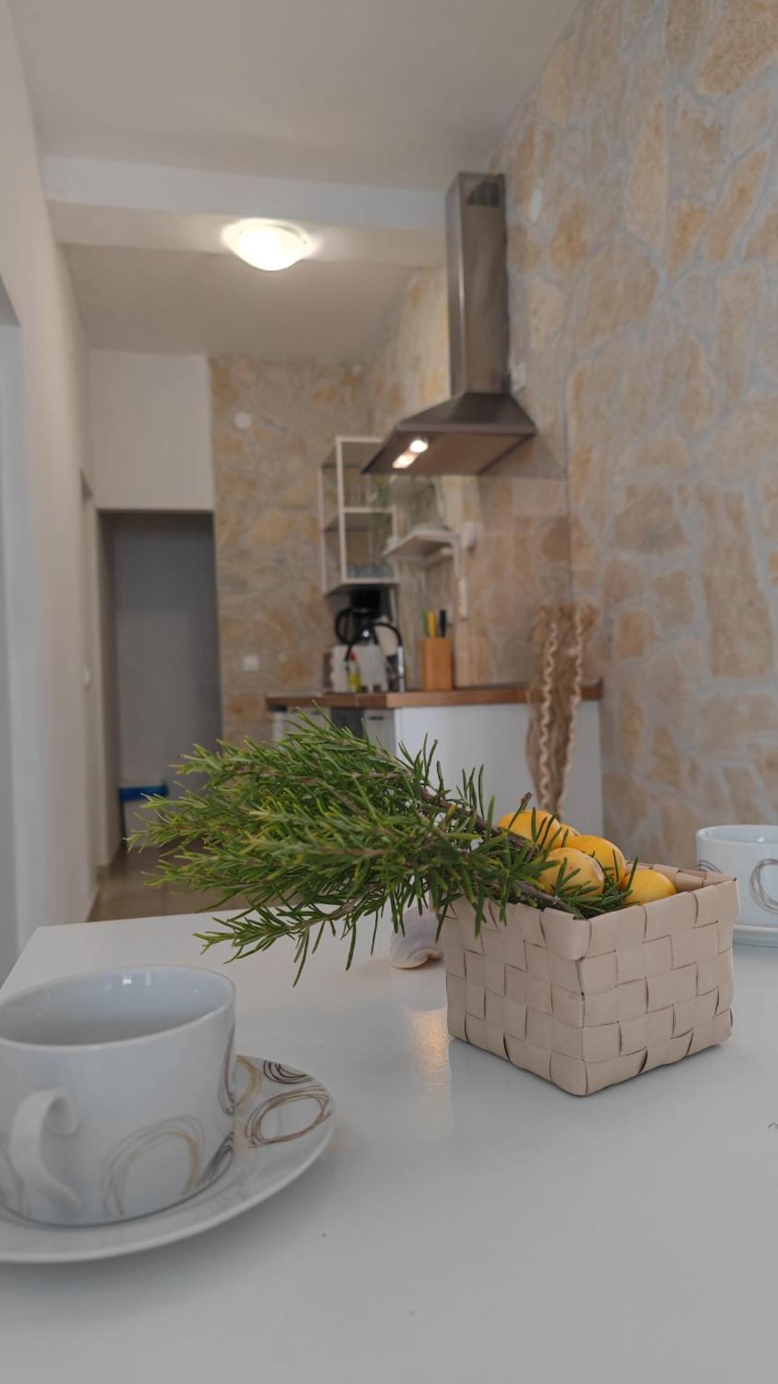 Vila Sentio Mare-Apartments Livaic Zeljko ピロヴァッツ エクステリア 写真